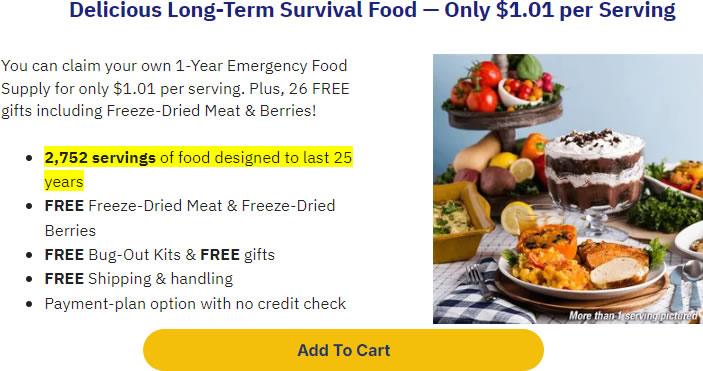 4Patriots 1 Year Food Supply Review: Survival Kits That Deliver on Cost and Security