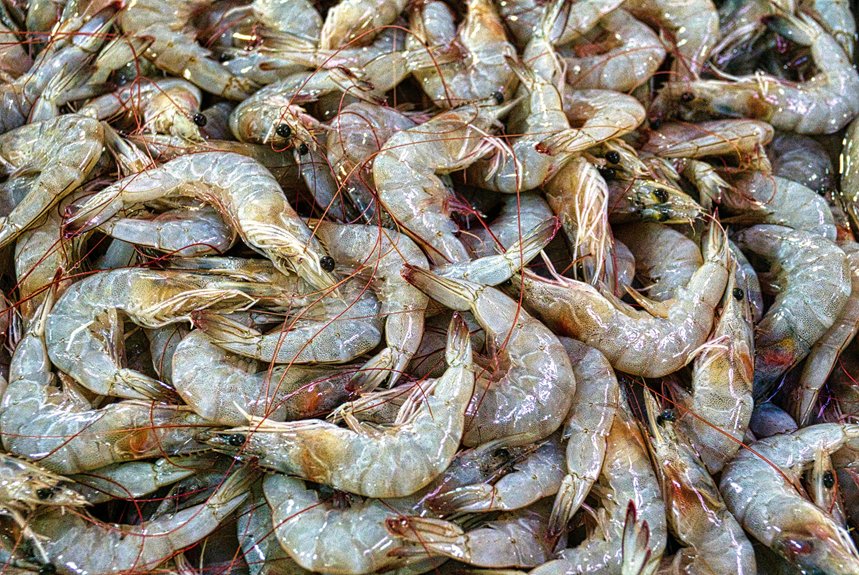 pistol shrimp dietary habits
